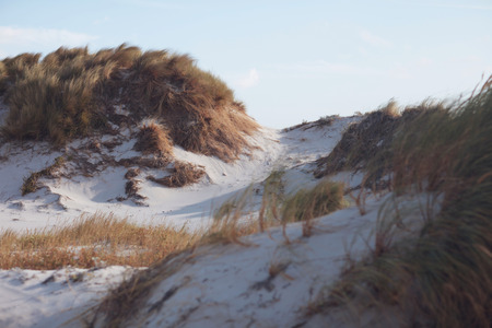 Sand Dunes in South Africaの写真素材