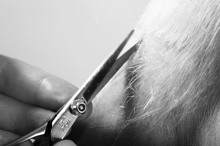 Hair Cuttingの写真素材