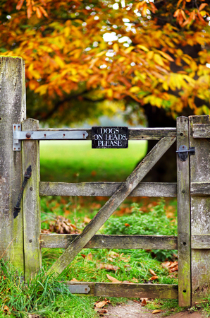 Keep Dogs on Lead Signage