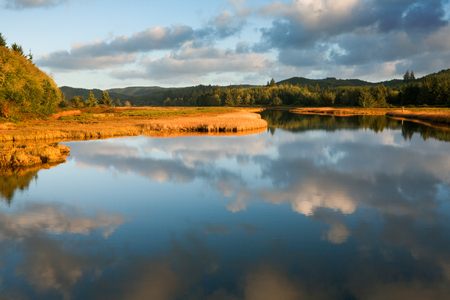 Morning calm on estuary of Cedar River as it empties into Willapa Bay near Tokeland, WAの写真素材