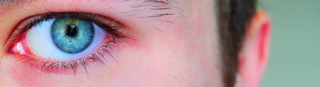 Blue colored eye close up with eye lashes and ear visible