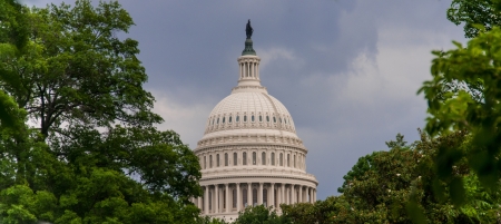 The United States Capitol dome through trees.の写真素材