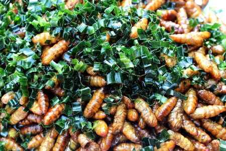 Fried silkworms with herb placed on the stall for sale at a market in Bangkok, Thailandの写真素材