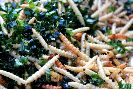 Fried bamboo worms with herb placed on the stall for sale at a market in Bangkok, Thailandの写真素材
