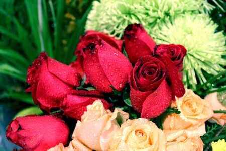 Bouquet of red roses in the gardenの写真素材
