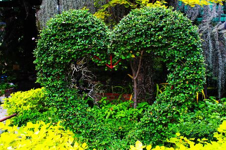 The leaves and twigs cut into heart shapeの写真素材