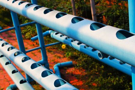 Perforated PVC pipe for hydroponic vegetables growingの写真素材