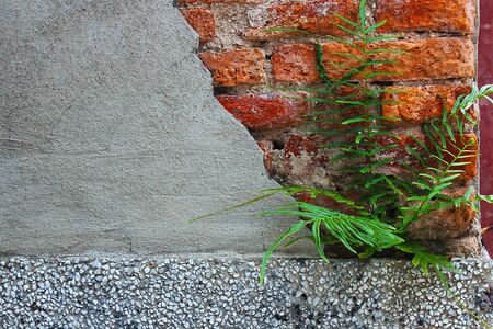 Red brick and cement wall with a small tree as a backgroundの写真素材