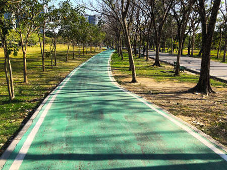 A green painted bicycle lane in a park at Bangkok, Thailandの写真素材