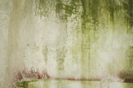 on weathered wall mildrew unhealthの写真素材
