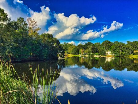 residential neighborhood pond reflecting clouds in blue sky on sunny dayの写真素材