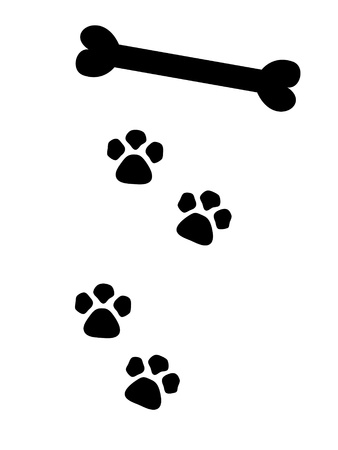 dog paws leading to boneの写真素材