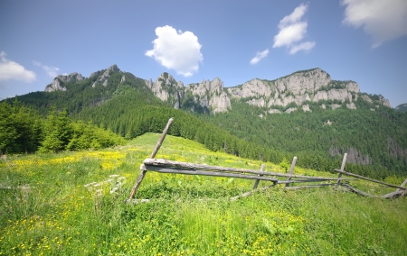 Carpathian mountain landscape in summer, Romaniaの写真素材