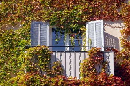 window in autumn surrounded by vegetation, leaves の写真素材
