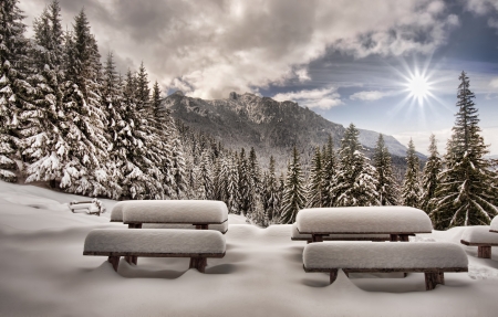 winter landscape in Carpathian mountain forest, Romaniaの写真素材