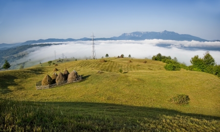 summer landscape in Romaniaの写真素材