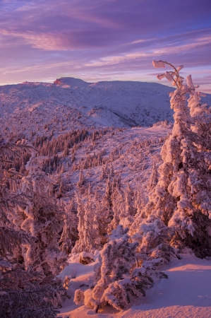 red winter mountain sunset in Romaniaの写真素材