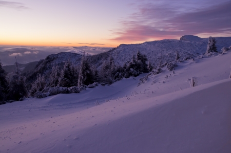 winter sunsetの写真素材