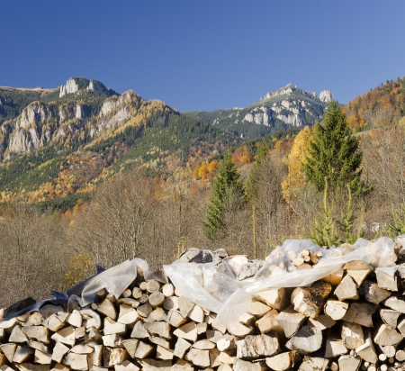 Wooden logs for autumn supply in mountain rural landscapeの写真素材