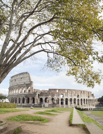 Colosseum in Rome city Italyの写真素材