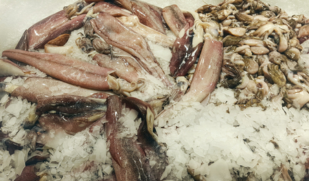 fresh squid and octopus in ice