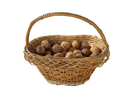 basket of walnut isolated on white backgroundの写真素材