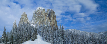 winter scene in forest. snow at the Lonely Stone in Romaniaの写真素材