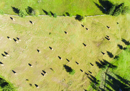 aerial view of hay stacks in Romania countrysideの写真素材