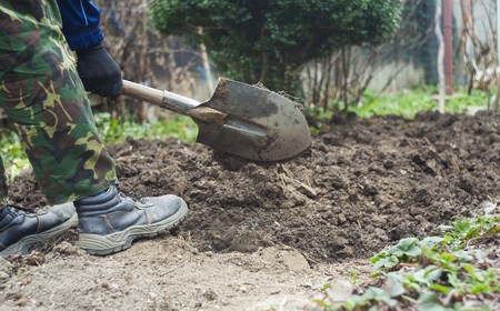 man with spade in dirt, farmer working in agricultureの写真素材