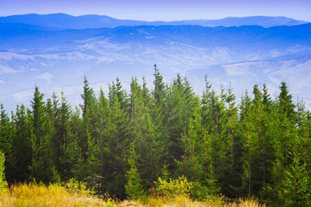 mountain scene in the forest. beautiful landscape