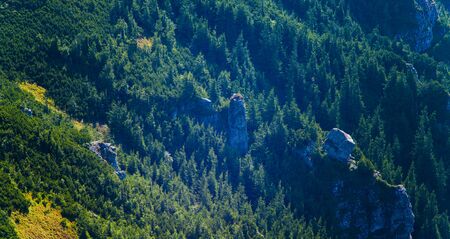 mountain scene with rocks and juniper vegetationの写真素材