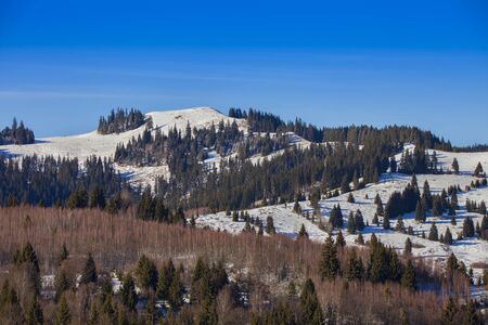 Parvu mountain peak in Poiana Teiului, Romania. 1248m altitude, winter sceneの写真素材