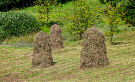 stacks of hay in rural Romania, traditional village working