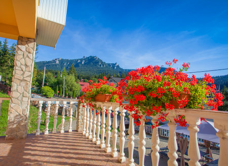flowers in the garden. Ceahlau mountain in background, Durau. Romaniaの写真素材