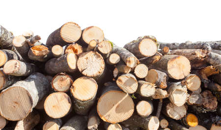 stack of wood for fire isolated on white backgroundの写真素材
