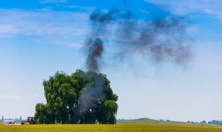 fire burning under a tree in the field