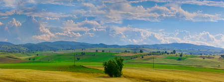 field in the natural country landscape of Romania. High resolution panorama with wheat and sky with cloudsの写真素材