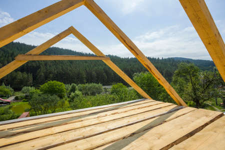 new house construction in nature, forest background