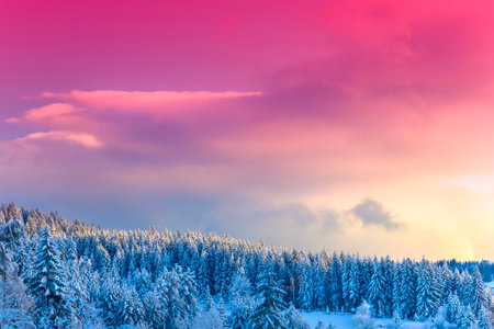 winter landscape with red sky and frozen forest