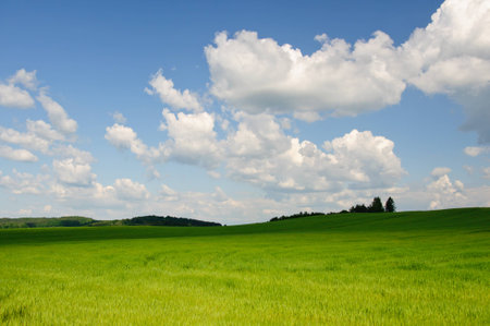 Landscape with green field and clouds on blue skyの写真素材