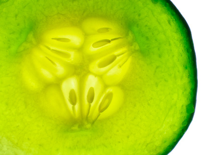 Detail of fresh tasty slice of cucumberの写真素材