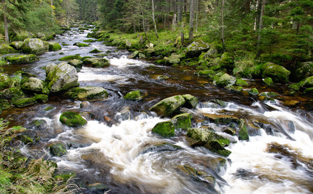 Mountain river waterfall between stones and autumn vegetation.の写真素材