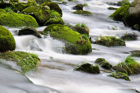 Mountain river waterfall between stones and autumn vegetation.