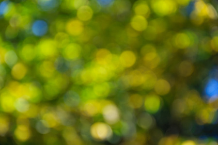 Abstract colorful autumn background from circles of light.の写真素材