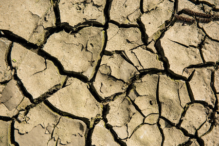 cracked dry earth - abstract brown backgroundの写真素材