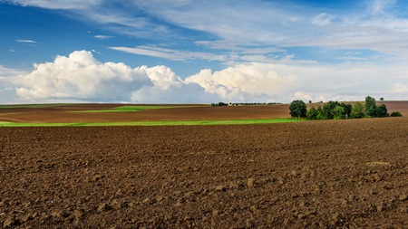 Czech fields in autumn with blue skyの写真素材