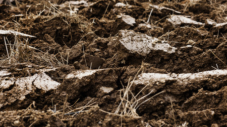 Black Garden Soil raw autumn background textureの写真素材