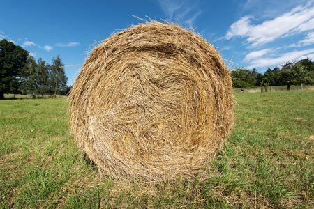 Agriculture. Round bale of hay closeup. Swirls and circle patterns and texture.の写真素材