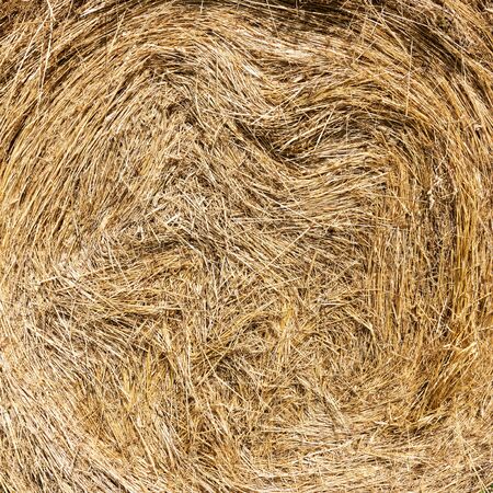 Agriculture. Round bale of hay closeup. Swirls and circle patterns and texture.の写真素材
