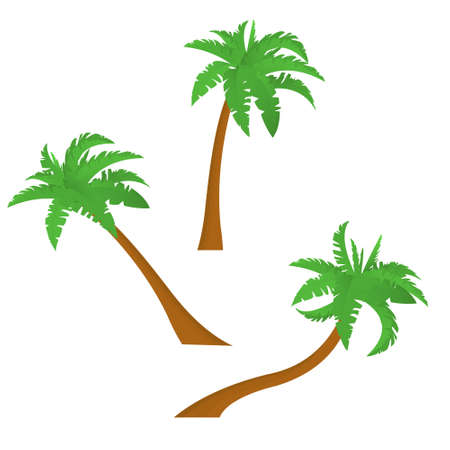 Palm trees isolated on white background. Vector illustrationのイラスト素材